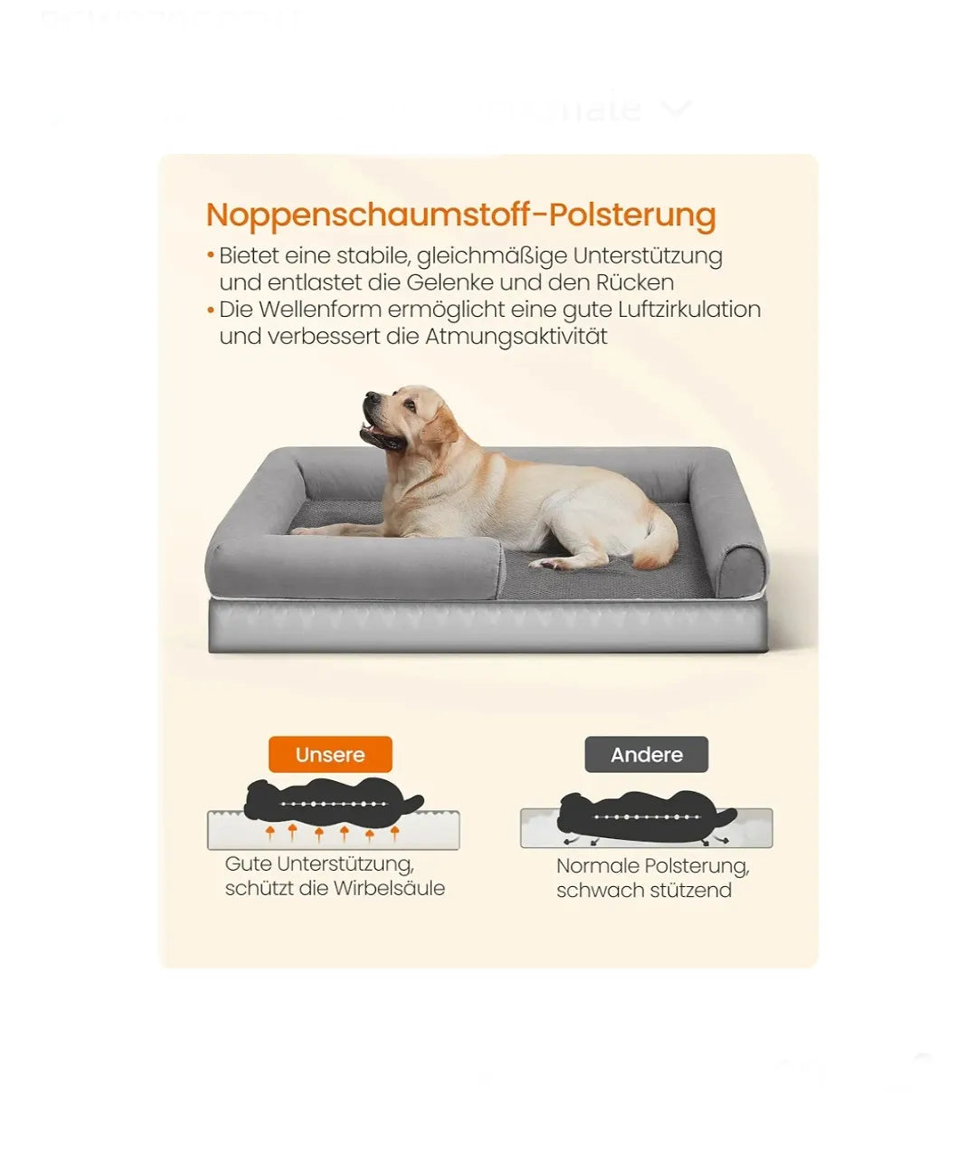 Cama ortopédica para perros XXXL