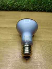Bombilla Daylight Led