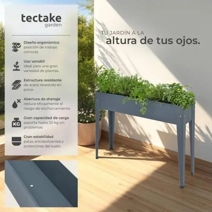 Caléndula para jardinería color antracita