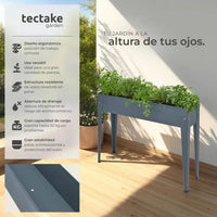 Caléndula para jardinería color antracita