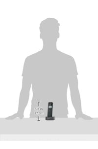 Teléfono Fijo Inalámbrico Philips