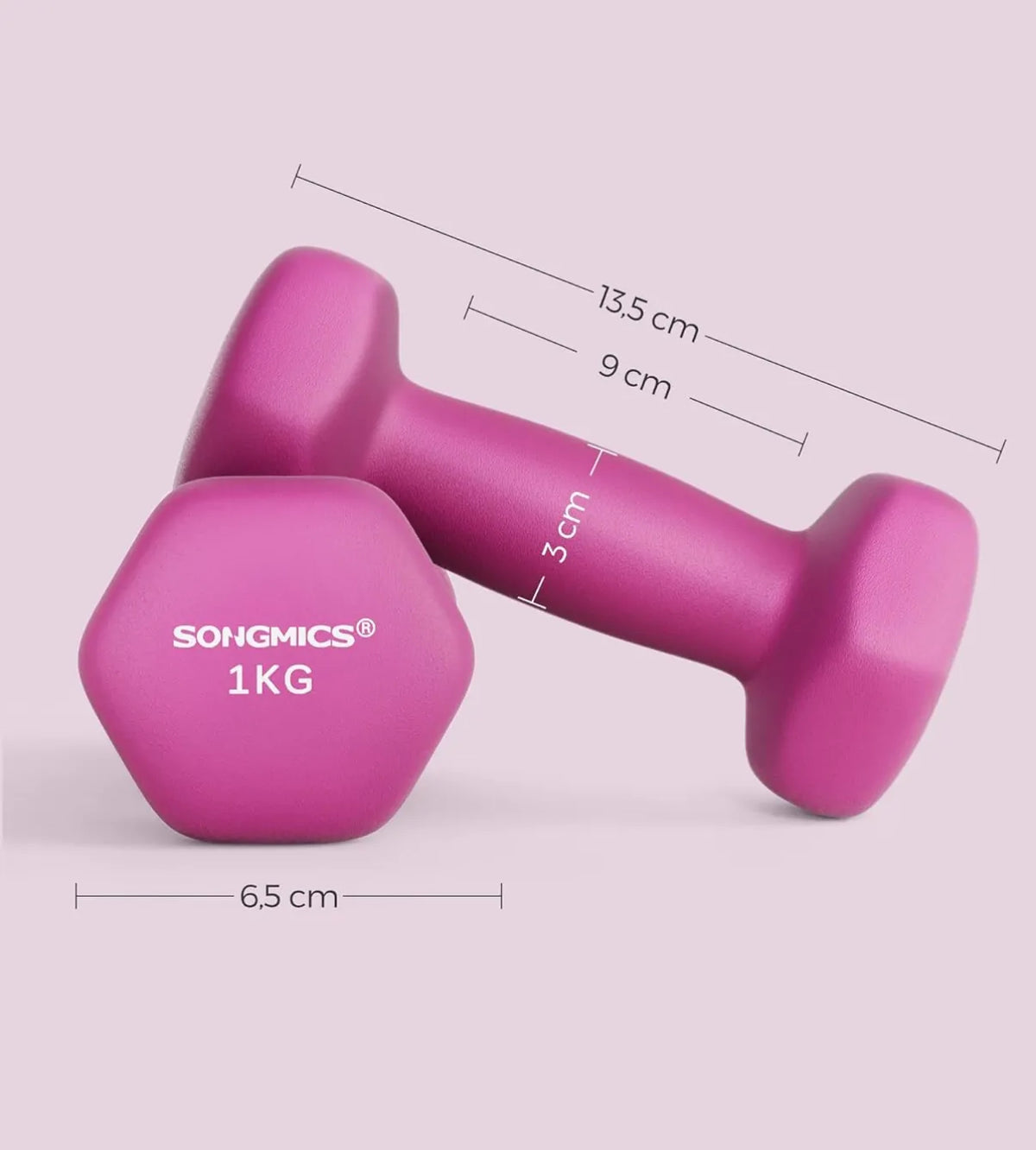 Juego de 2 mancuernas - SONGMICS