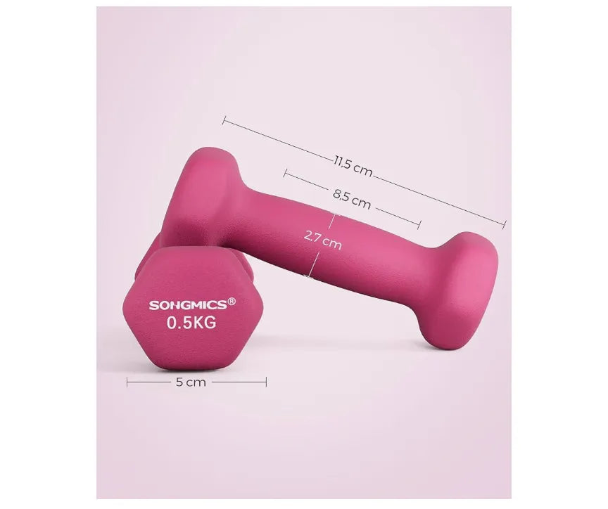 Juego de 2 Mancuernas 0,5KG SONGMICS