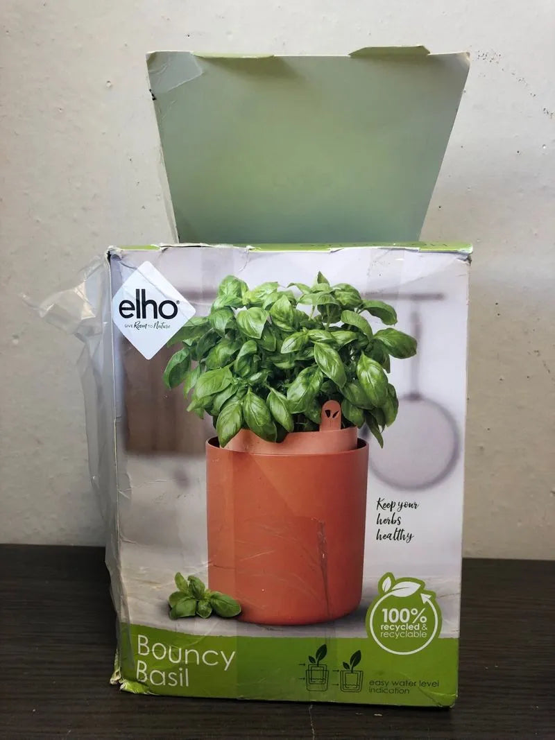 Maceta para cultivo