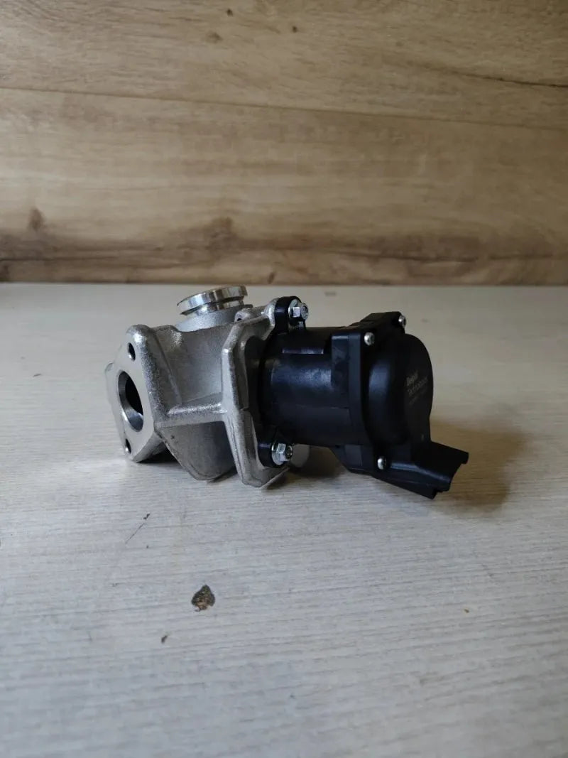 Válvula EGR EG10507 -  DELPHI