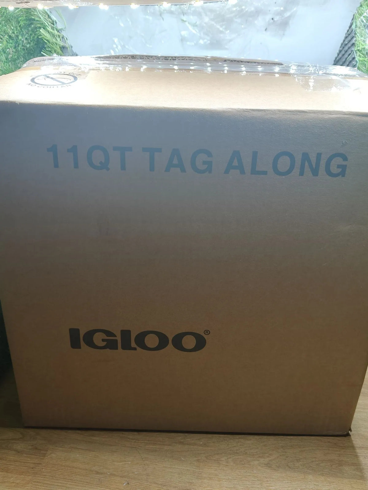 Nevera pasiva Tag Along Too Igloo