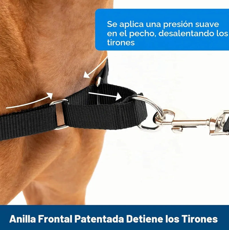 Arnés de paseo con anillas - Petsafe