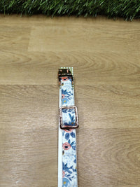 Collar de perro Paws