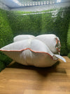 Almohada de Plumas 40x80cm Orange Wave