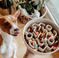 Alimentador para perro