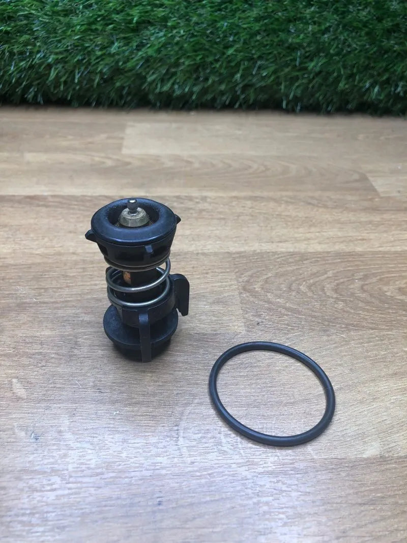 Termostato Febi Bilstein con Anillo
