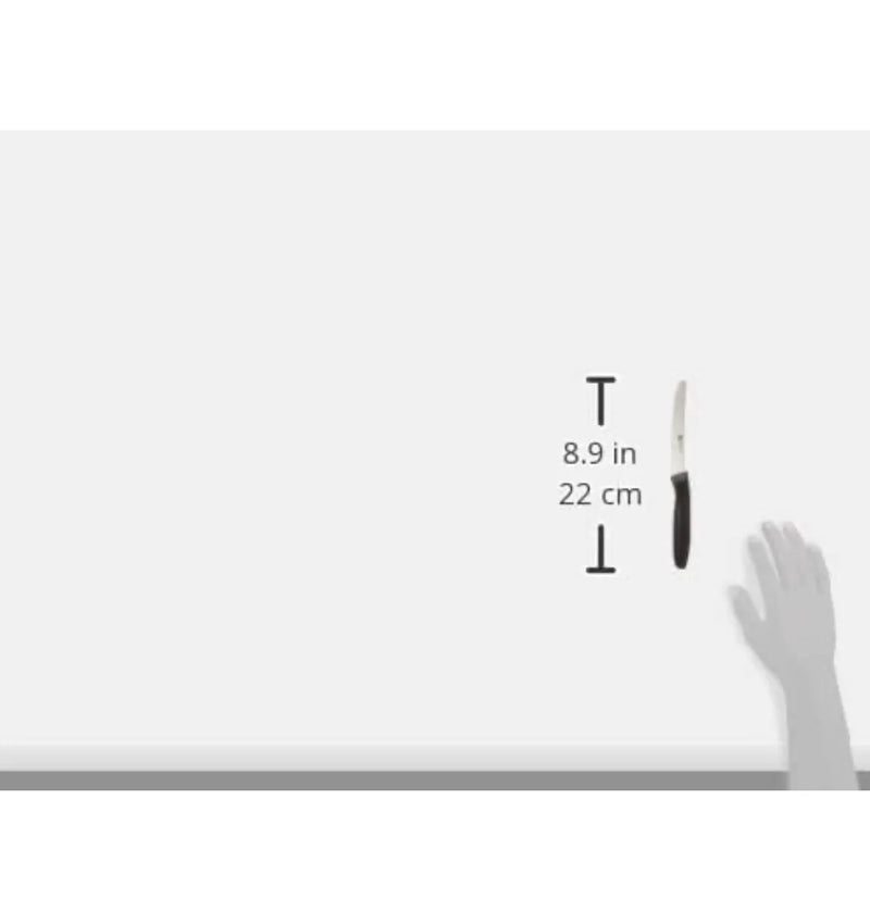 Juego de 6 cuchillos de cocina ZWILLING