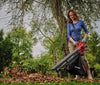 Aspirador de hojas con bolsa recolectora - Einhell