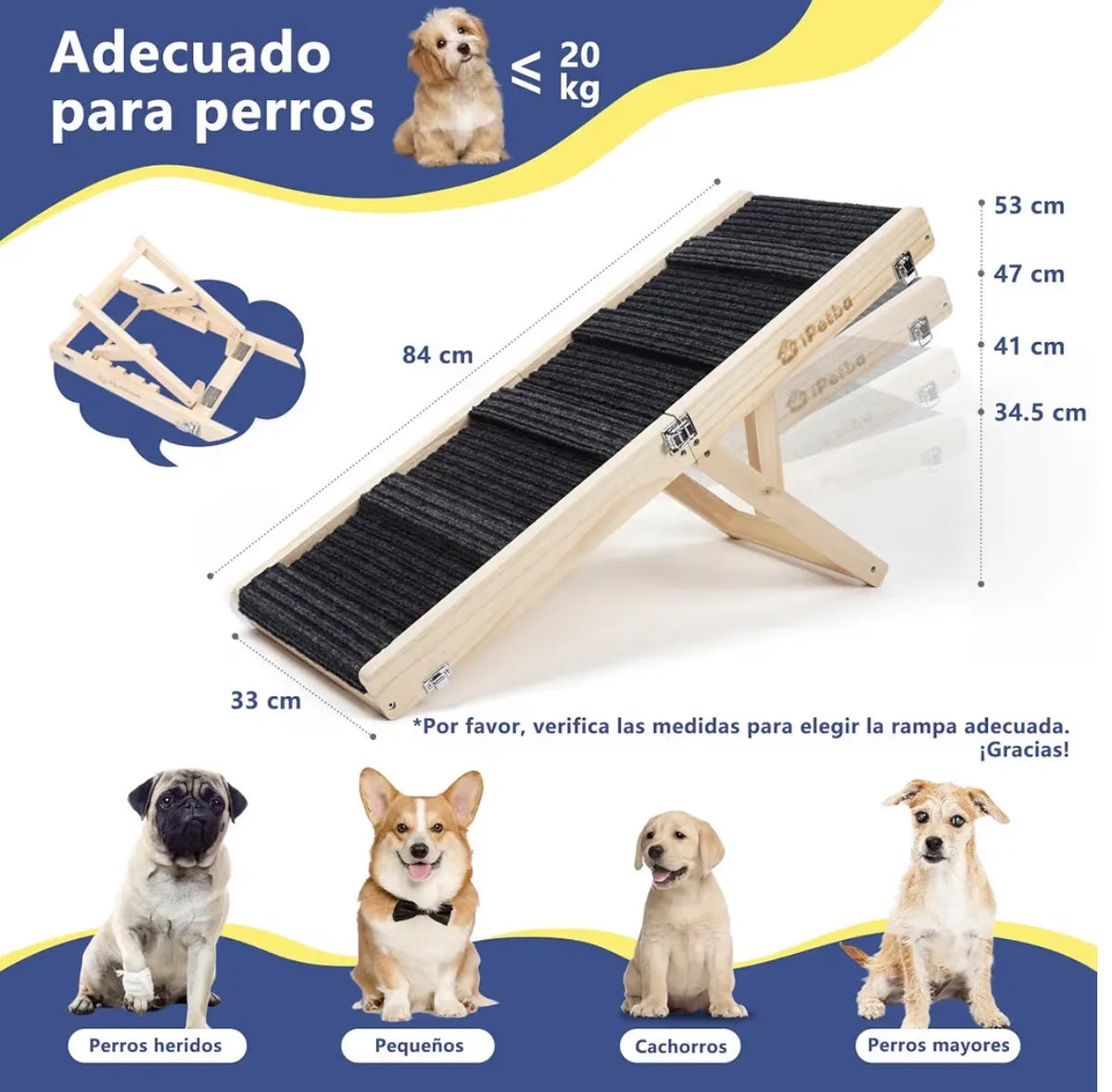 Rampa para perros