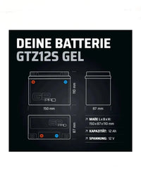 Batería Gel 12V 12 Ah - GP-Pro