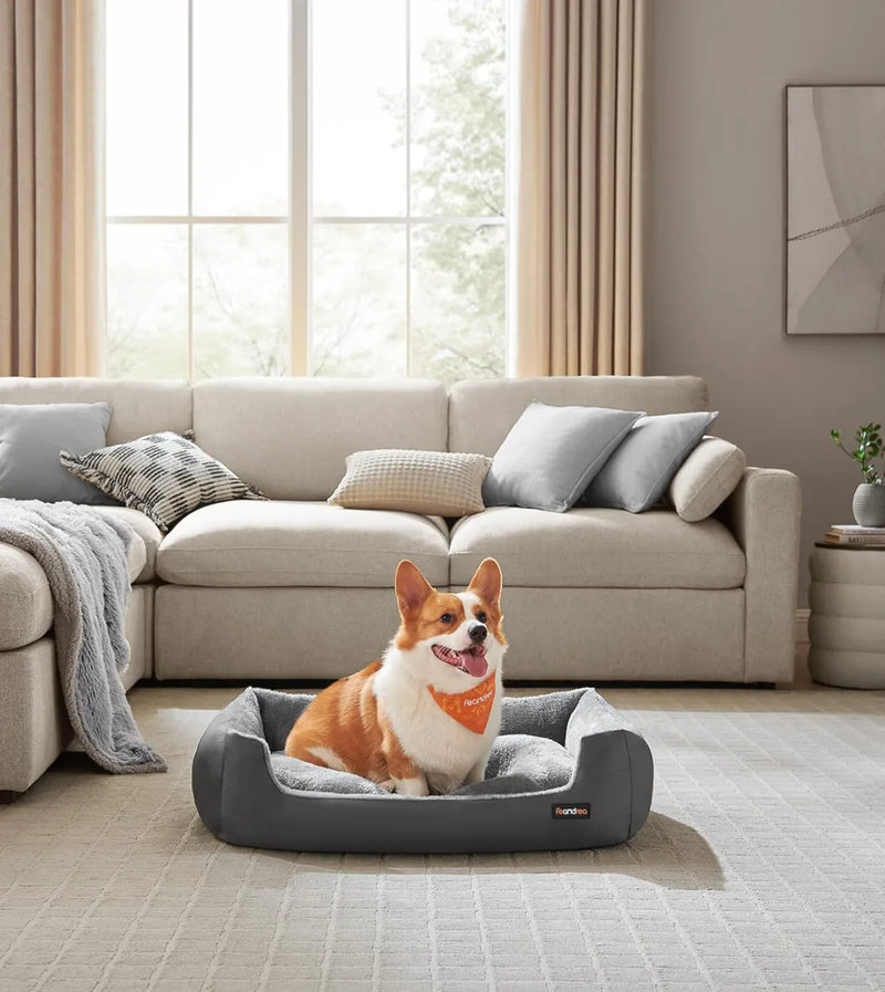 Cama para perros