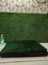 Inodoro para Perros de 63x50 cm