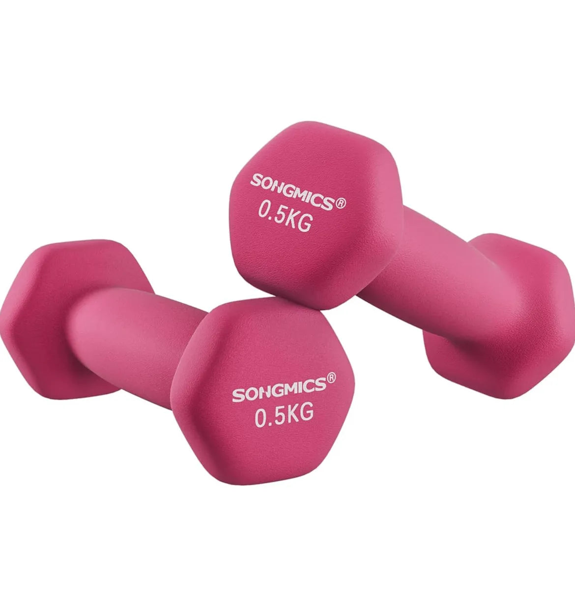 Juego de 2 Mancuernas 0,5kg SONGMICS