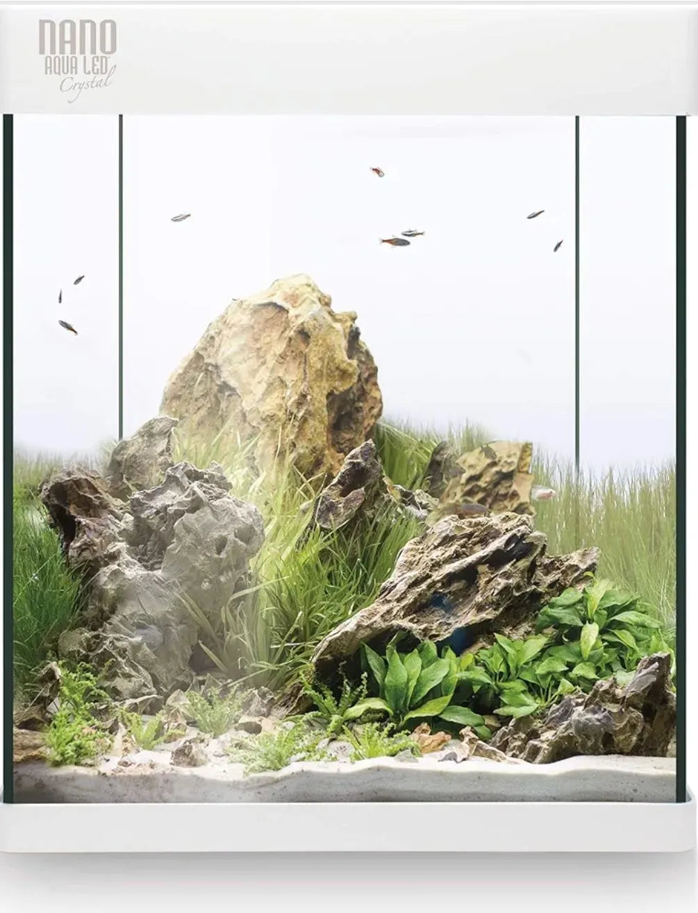 Kit completo de acuario de 30L - Nano