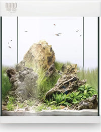 Kit completo de acuario de 30L - Nano