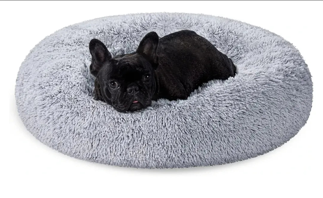 Cama de Perros