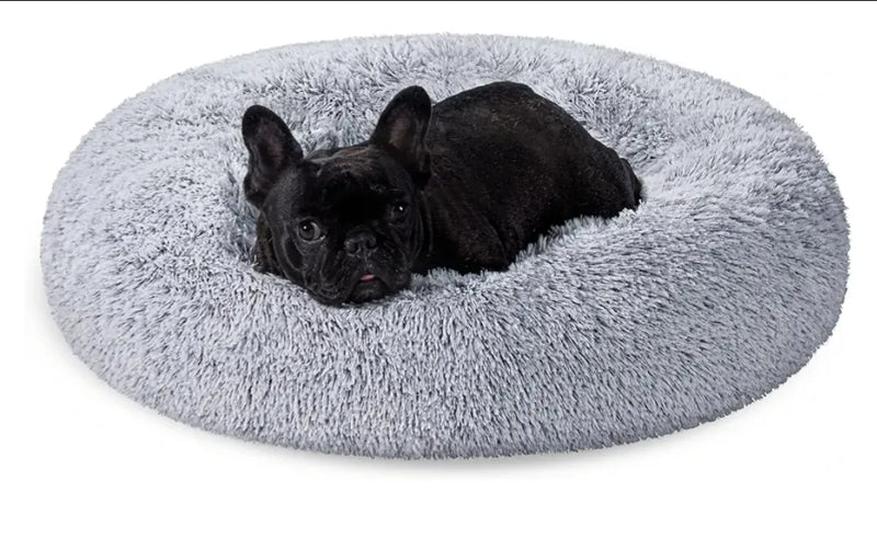 Cama de Perros
