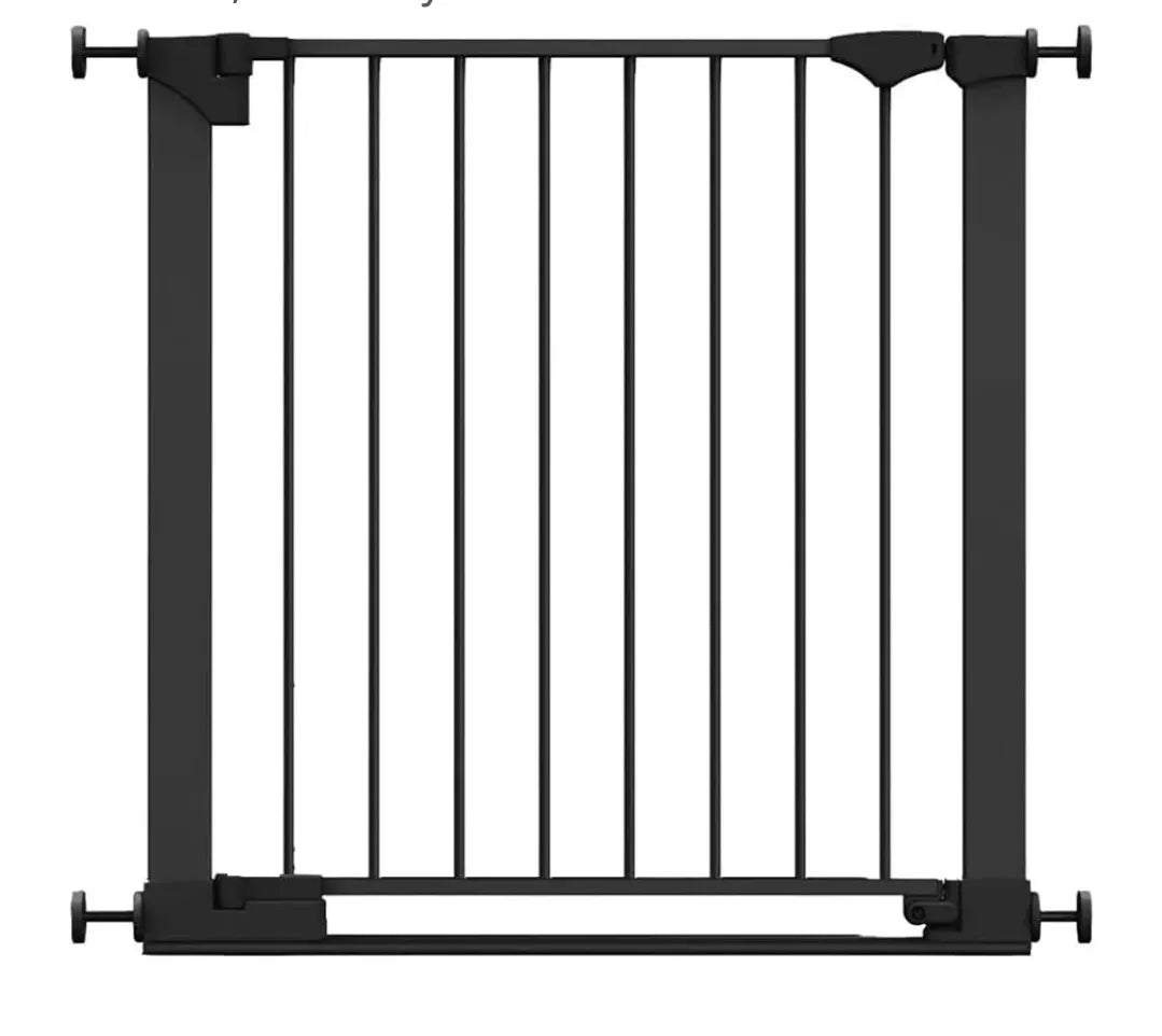 Puerta de seguridad