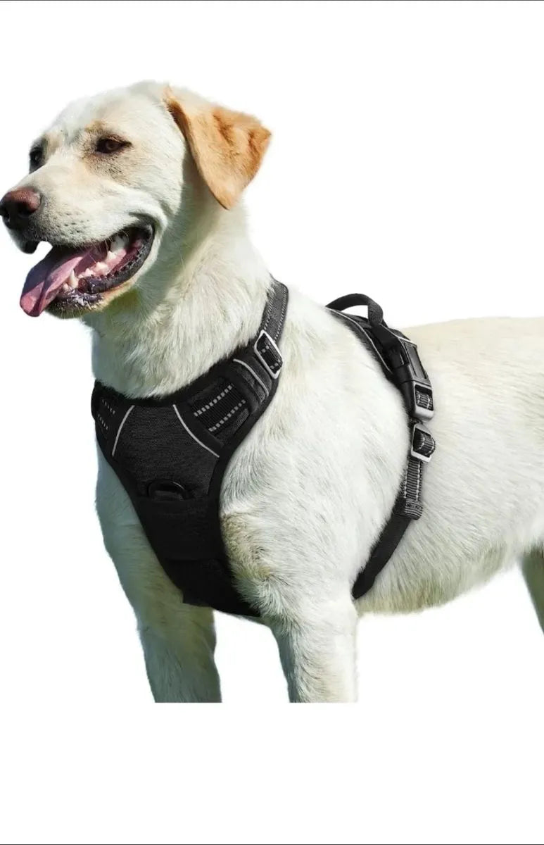 Eagloo Arnés para Perros