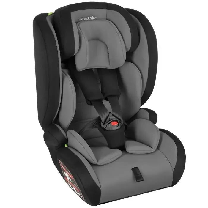Silla de coche