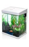 Acuario de Cristal con Cubierta y Luces LED