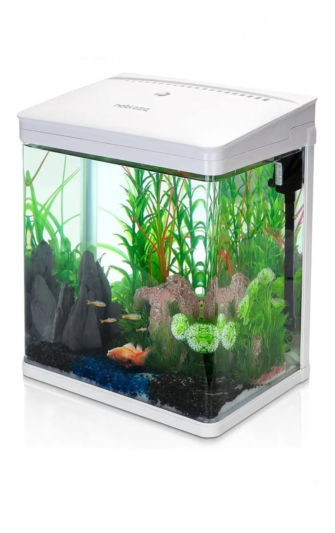 Acuario de Cristal con Cubierta y Luces LED