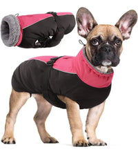 Chaqueta para Perros