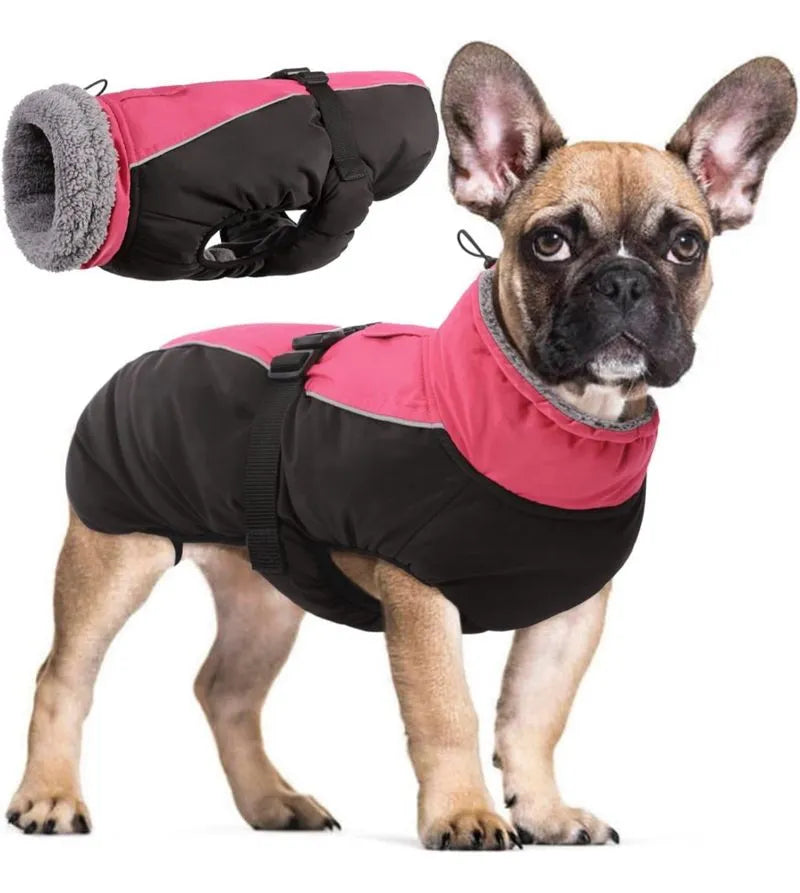 Chaqueta para Perros