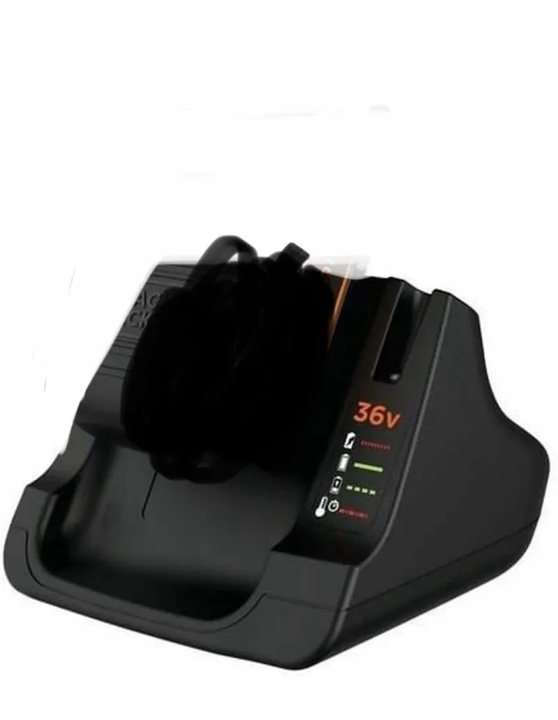 BLACK+DECKER  36V Cargador