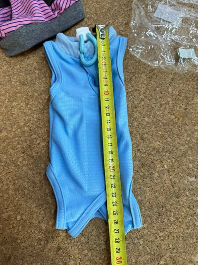 Body