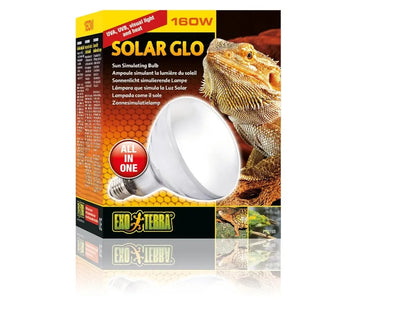 Bombilla solar Exo Terra