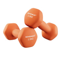 Juego de 2 mancuernas hexagonales Rosa