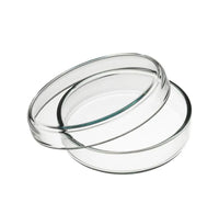 Juego de 5 platos ecoLab