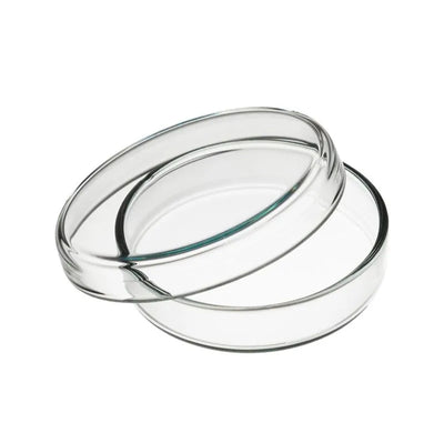 Juego de 5 platos ecoLab