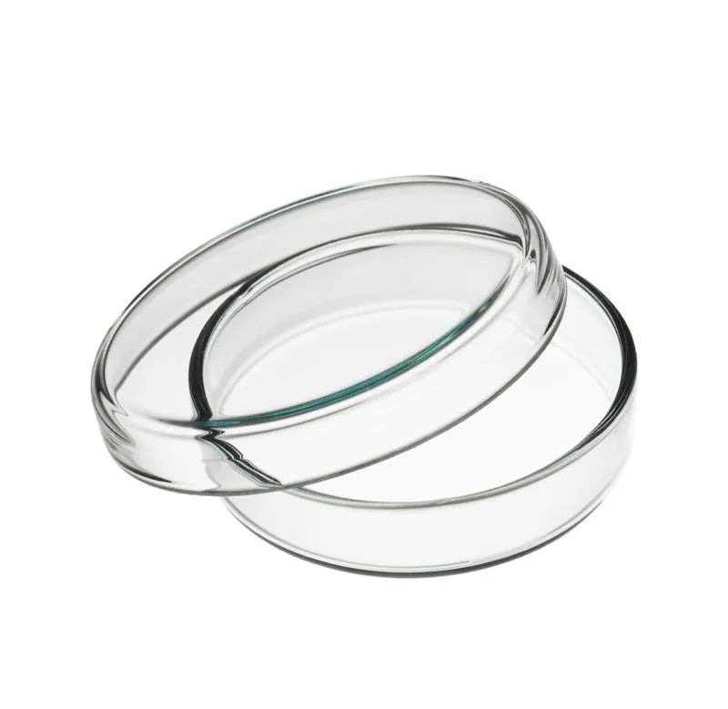 Juego de 5 platos ecoLab