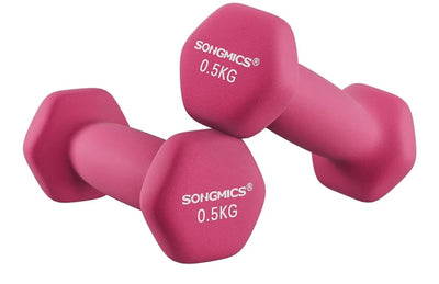 Juego de 2 Mancuernas 0,5KG SONGMICS