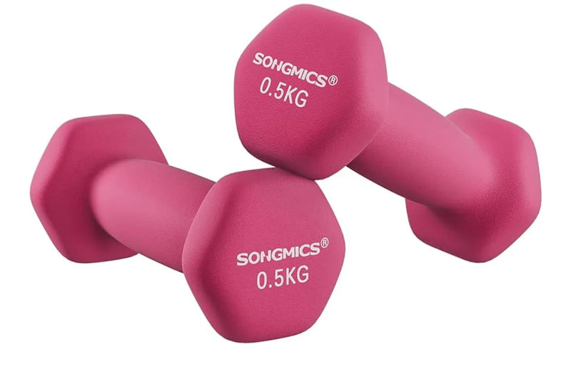 Juego de 2 Mancuernas 0,5KG SONGMICS