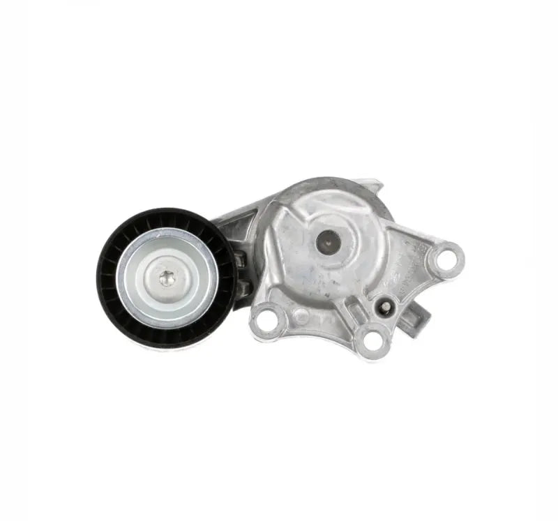 Tensor Correa T39460 - GATES