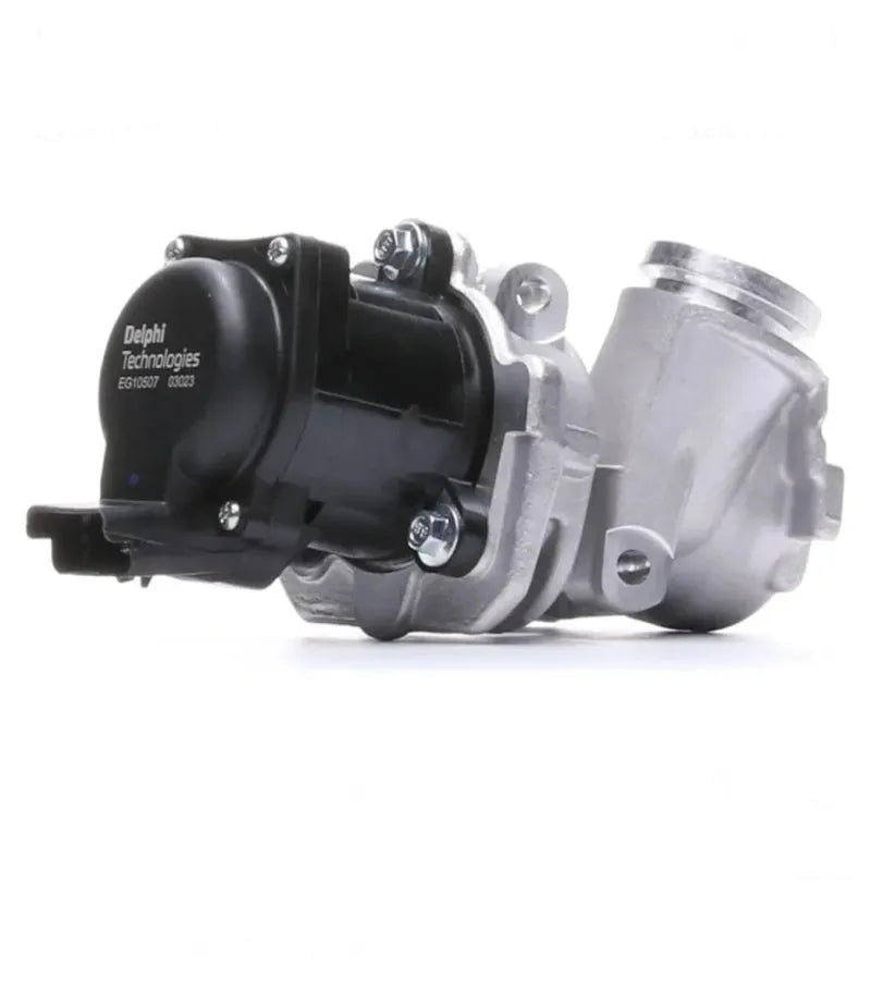 Válvula EGR EG10507 -  DELPHI