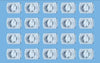 Ganchos pequeños alambres transparentes