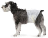 Pañales desechables Perros