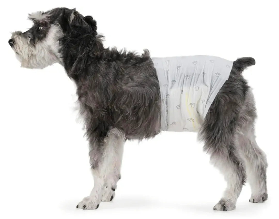 Pañales desechables Perros