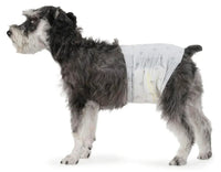 Pañales desechables Perros