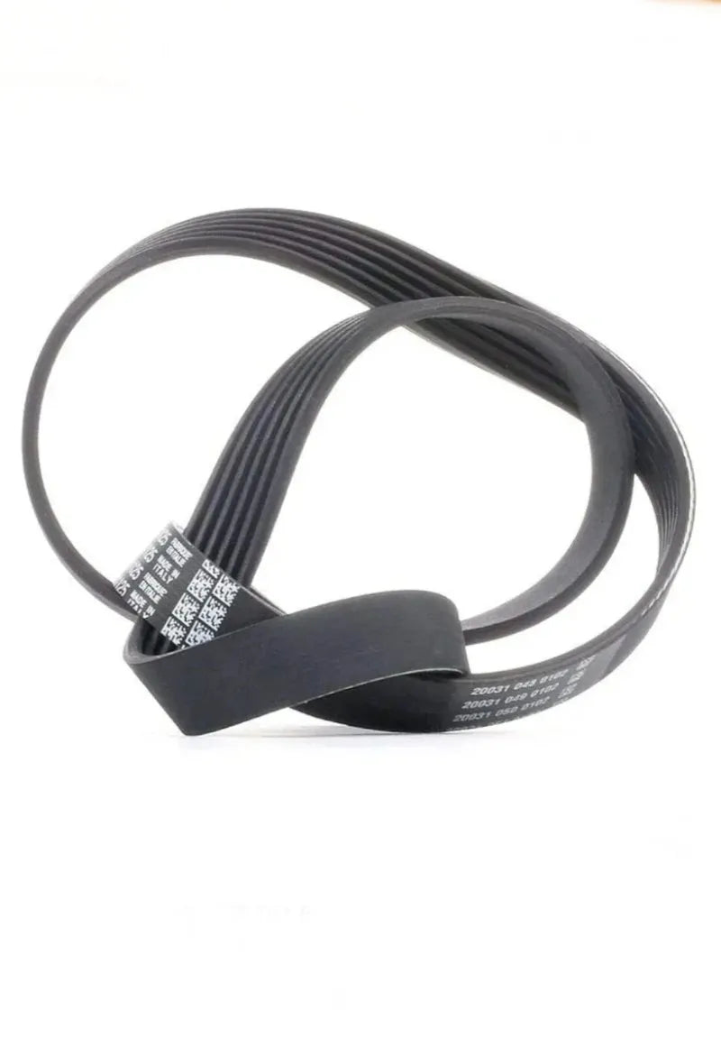 Correa Trapecial Poli 6PK1125 - DAYCO