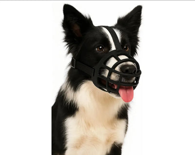 Bozal para Perros L